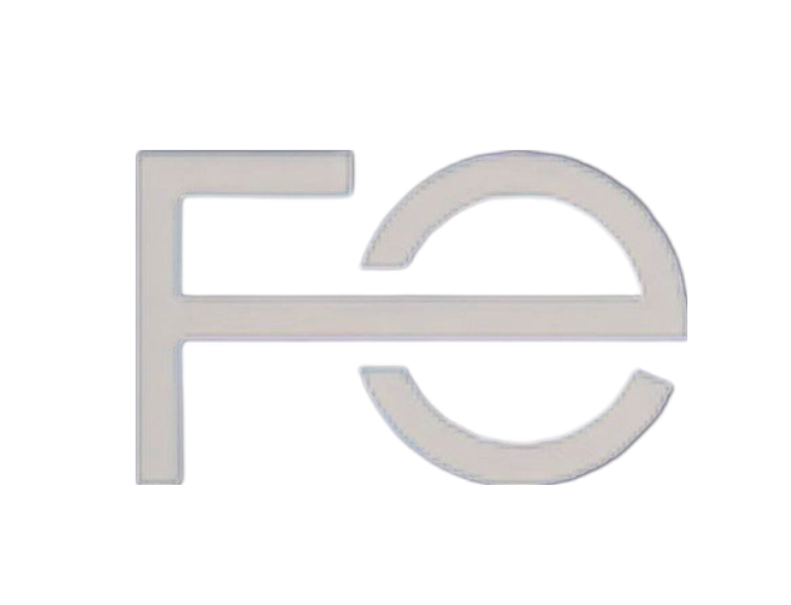 FE Consultora